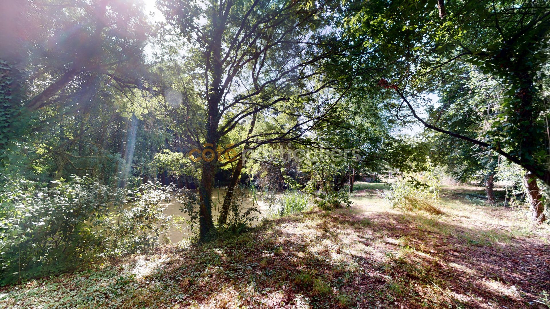 Maison à vendre, 201m², Joué-sur-Erdre