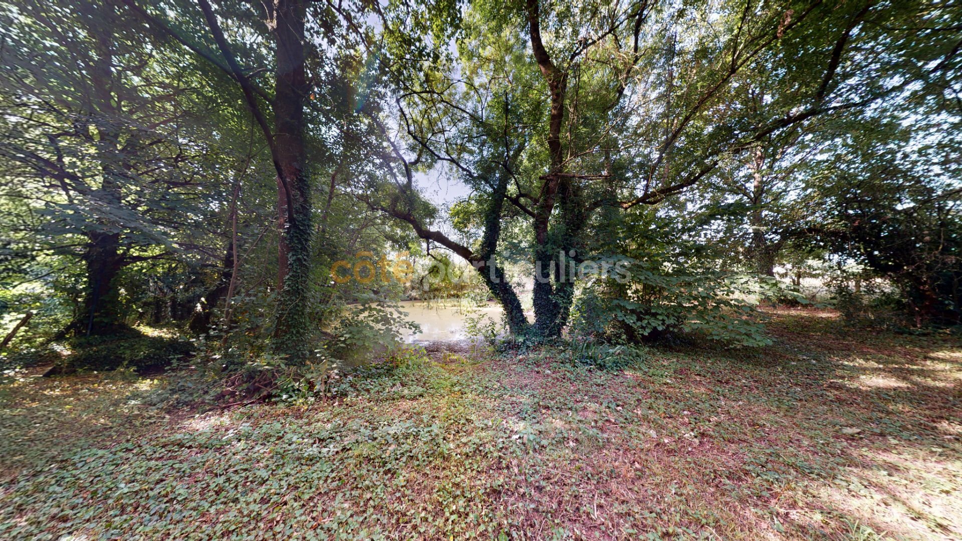 Maison à vendre, 201m², Joué-sur-Erdre