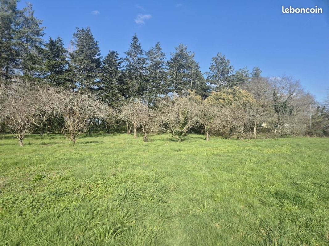 Maison à vendre, 143m², Savenay