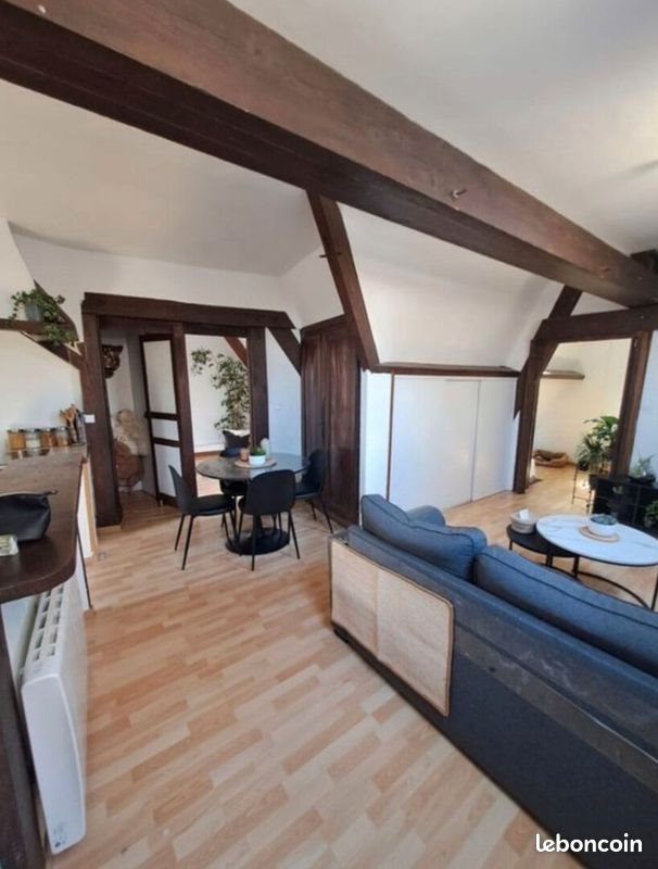 Appartement à louer, 49m², Le Mans