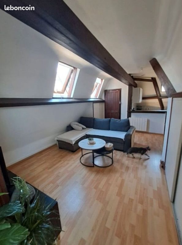 Appartement à louer, 49m², Le Mans
