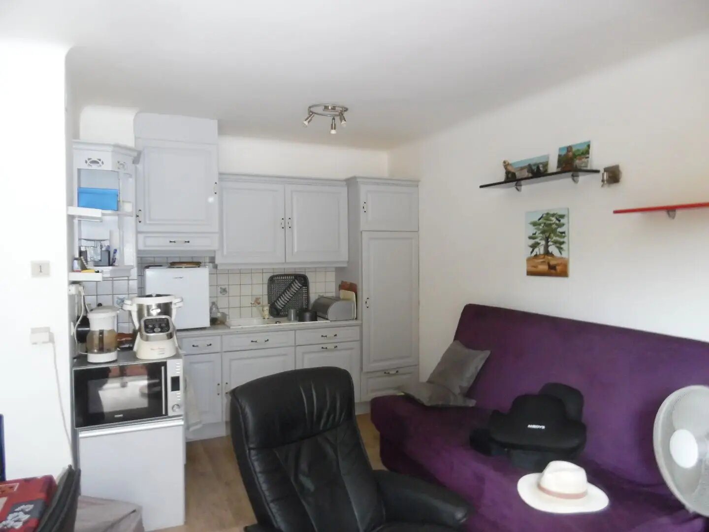 Appartement à louer, 37m², Amélie-les-Bains-Palalda