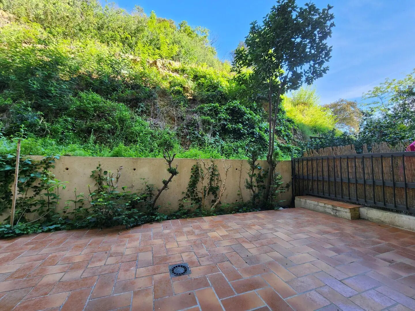Appartement à vendre, 26m², Amélie-les-Bains-Palalda
