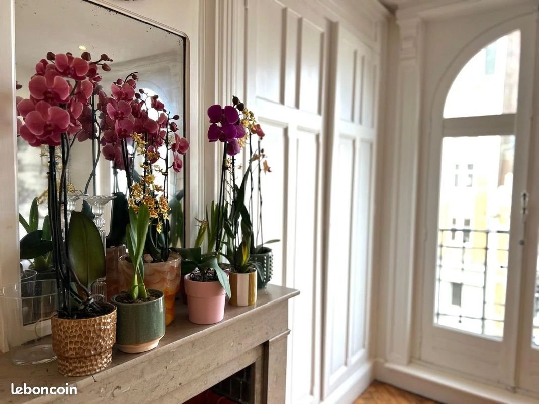 Appartement à vendre, 47m², Lille