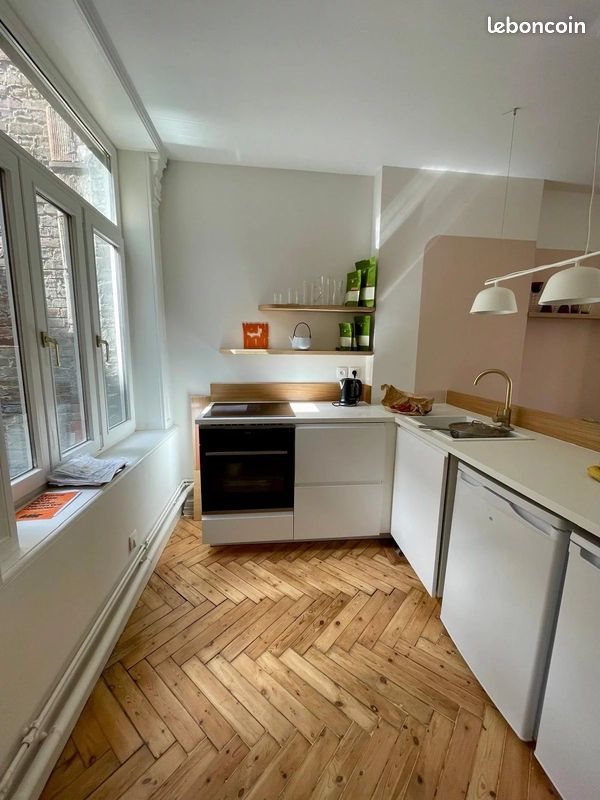 Appartement à vendre, 47m², Lille