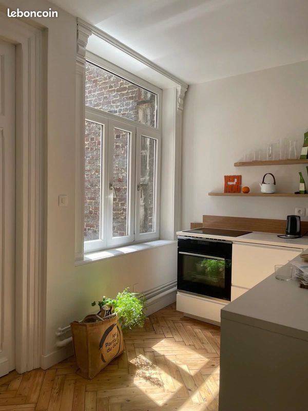 Appartement à vendre, 47m², Lille