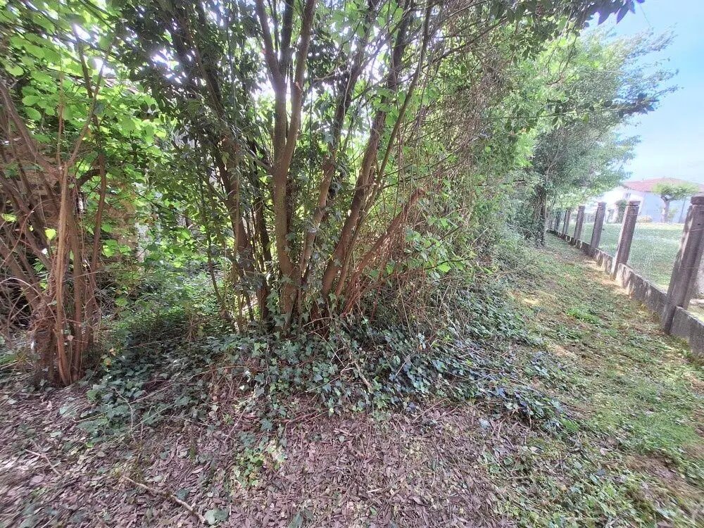 Maison à vendre, 50m², Saint-Junien