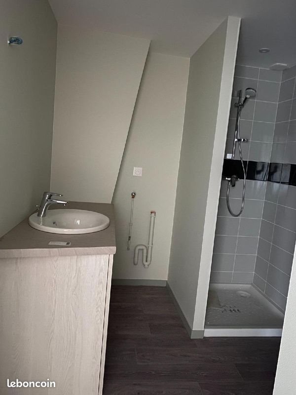 Appartement à louer, 50m², Cluny