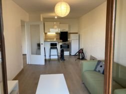 Appartement à louer, 36m², La Motte-Servolex