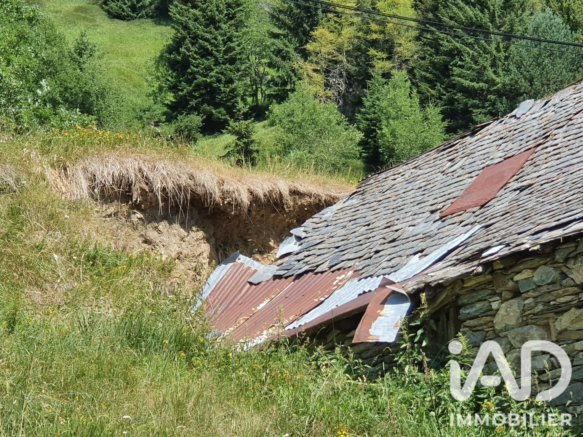 Maison à vendre, 70m², Luz-Saint-Sauveur