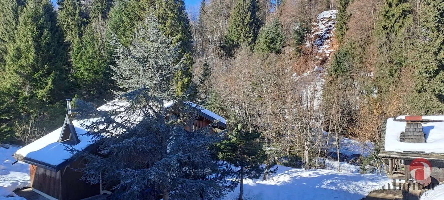 Appartement à vendre, 24m², Morillon