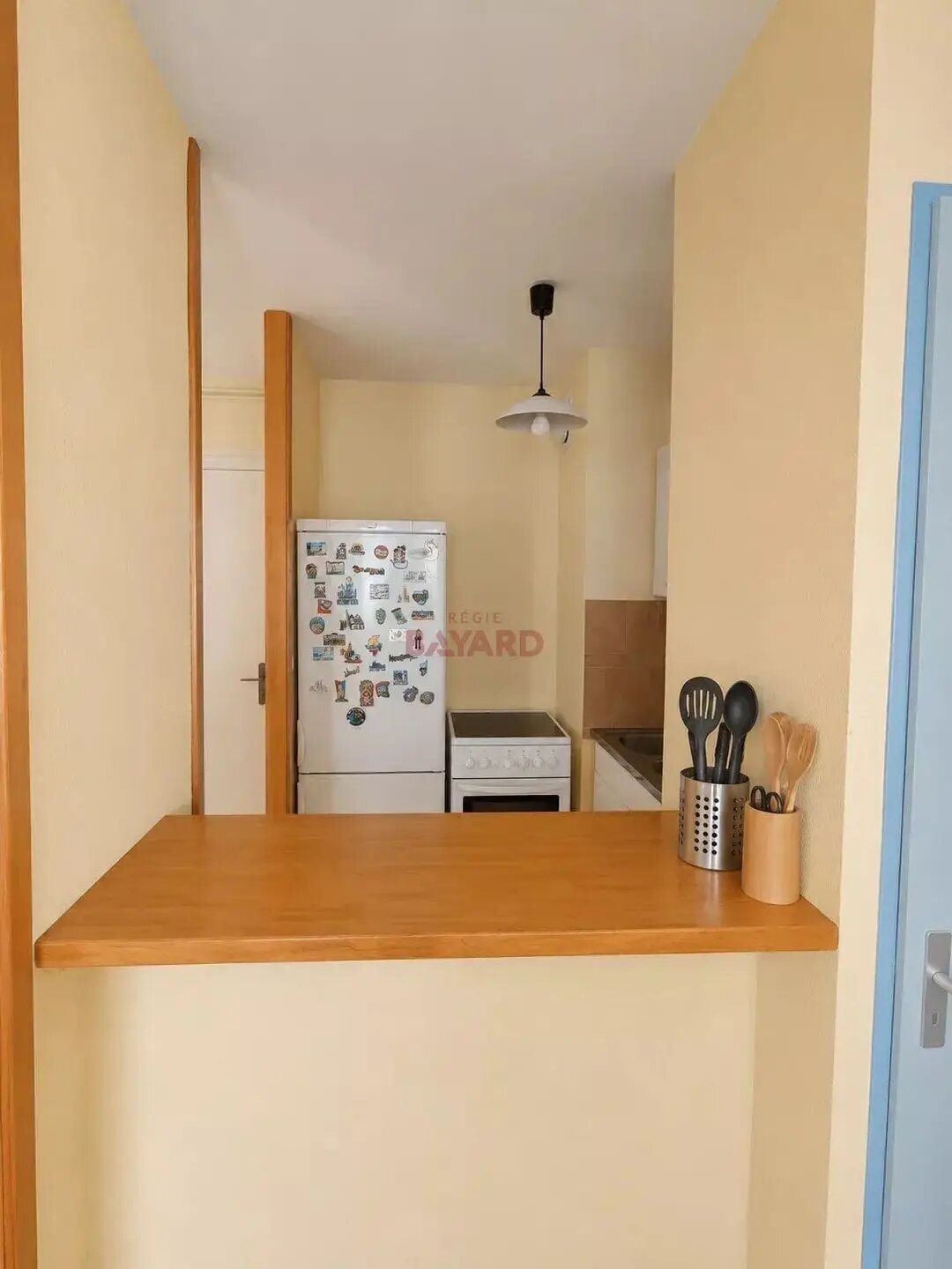 Appartement à louer, 28m², Lyon 7ème