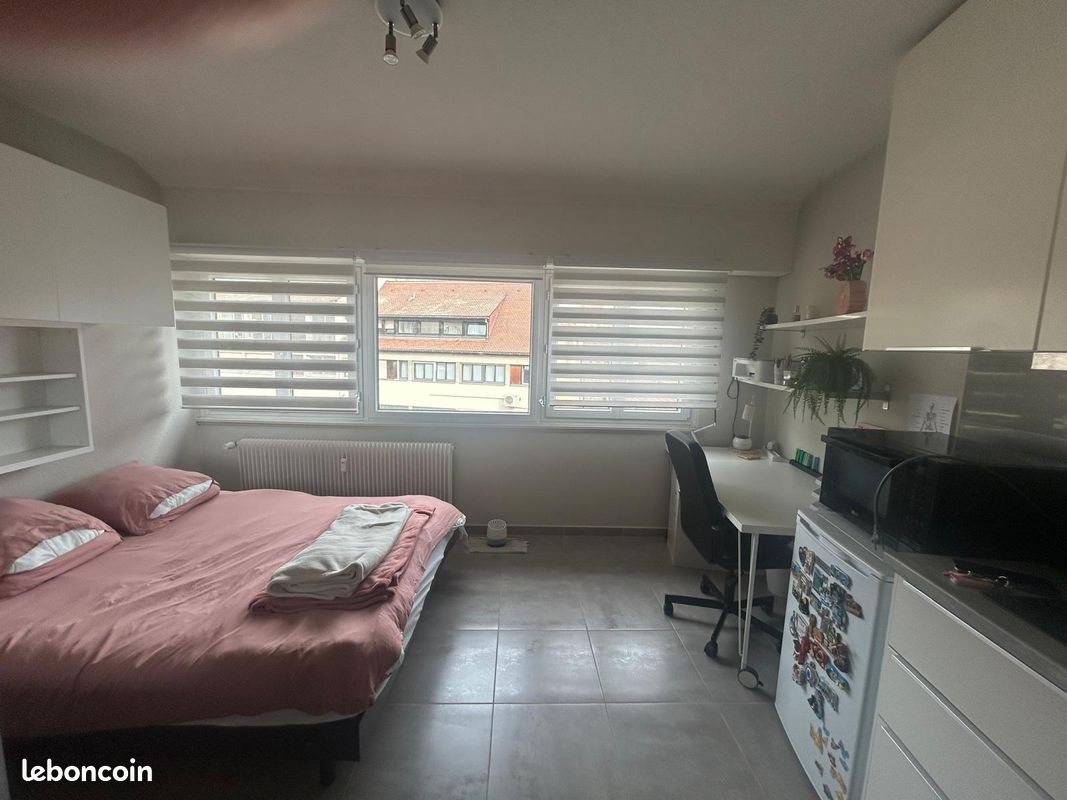 Appartement à vendre, 16m², Colmar