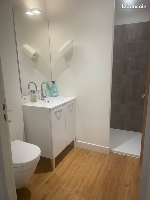 Appartement à louer, 75m², Vichy