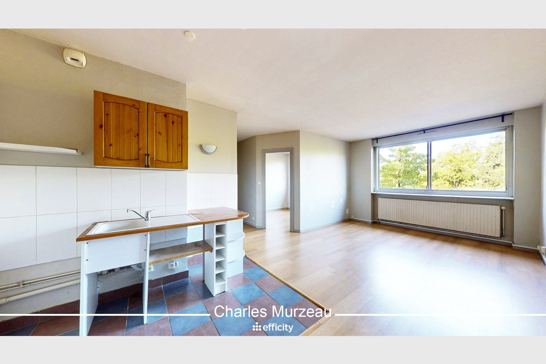 Appartement à vendre, 47m², Sainte-Foy-lès-Lyon