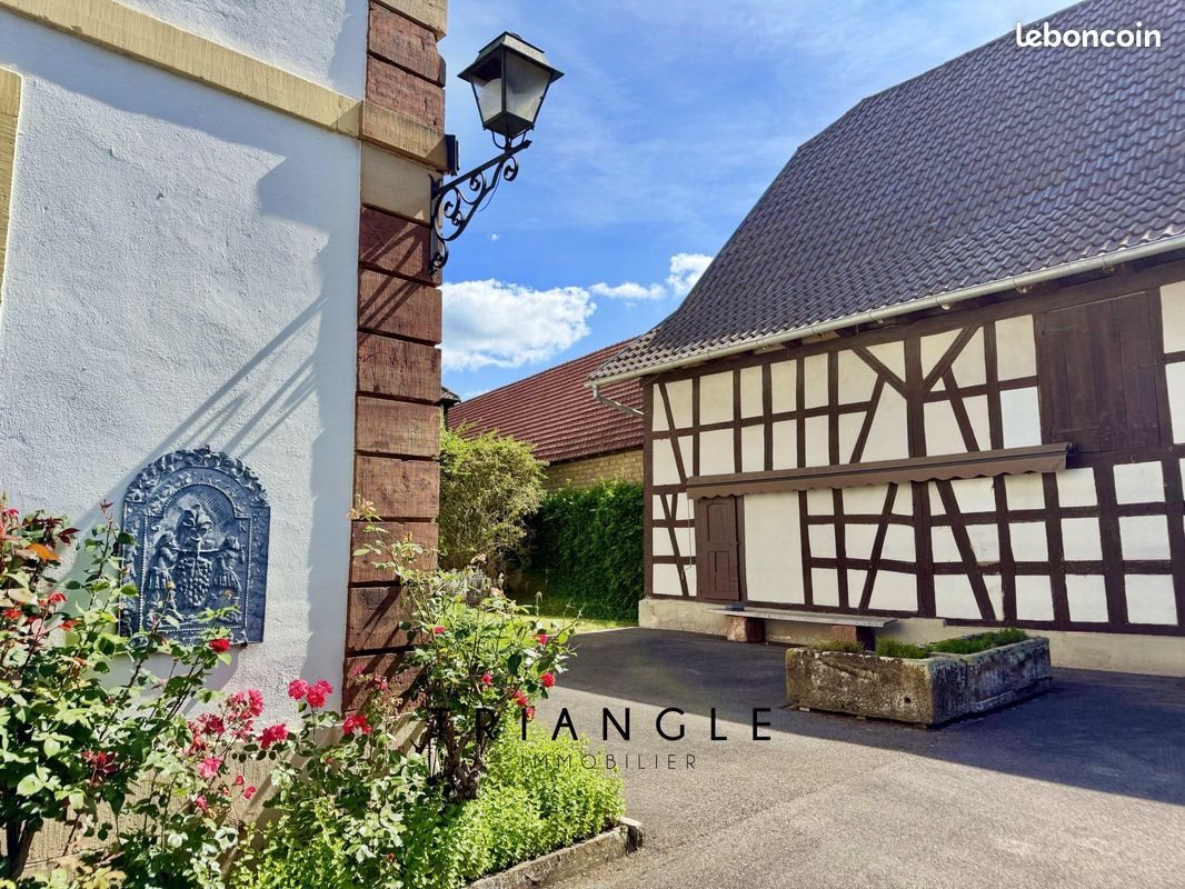 Maison à vendre, 464m², Lampertheim