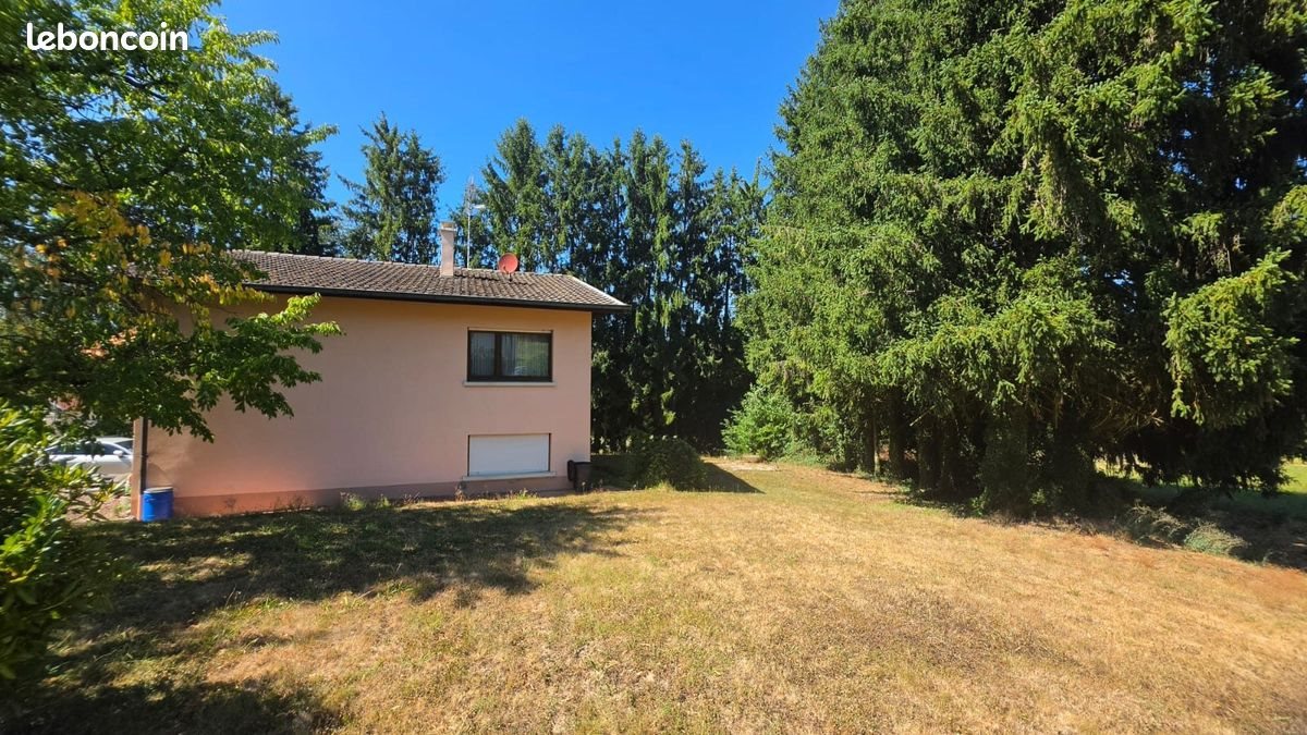 Maison à vendre, 130m², Hagenthal-le-Bas