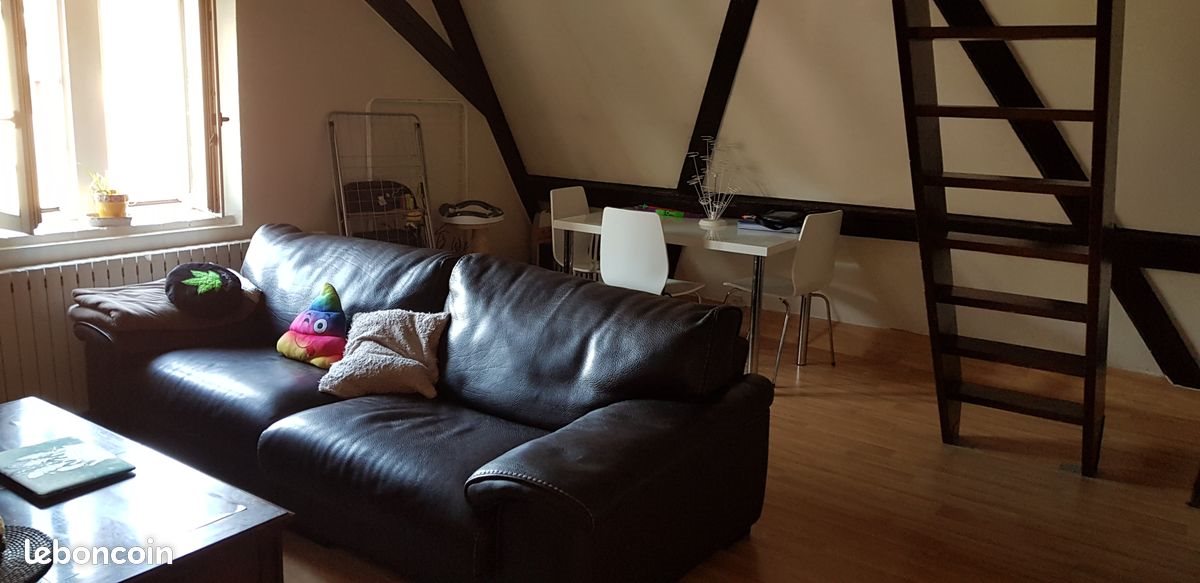 Appartement à louer, 36m², Colmar