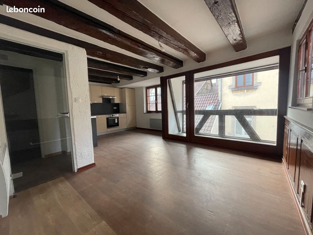 Appartement à louer, 49m², Colmar