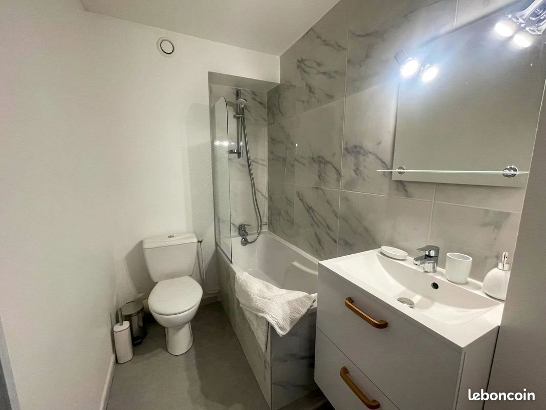 Appartement à louer, 23m², Saint-Etienne