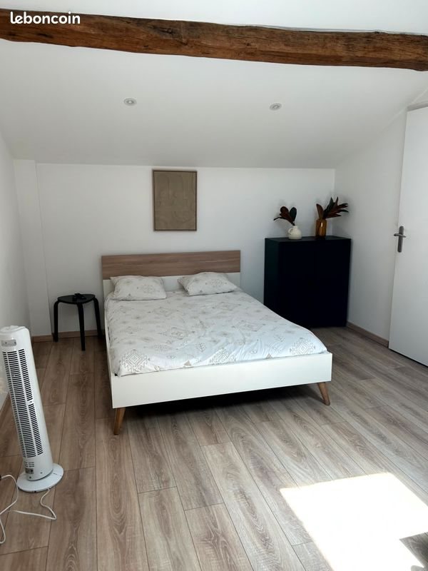 Appartement à louer, 20m², Saint-Laurent-sur-Saône