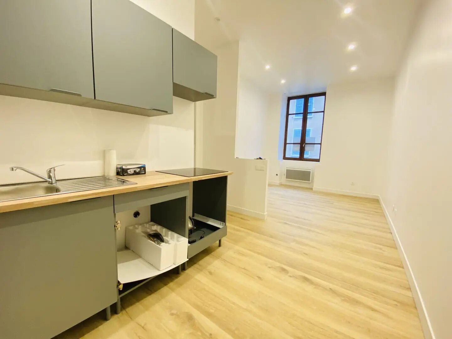 Appartement à vendre, 24m², Saint-Laurent-du-Pont