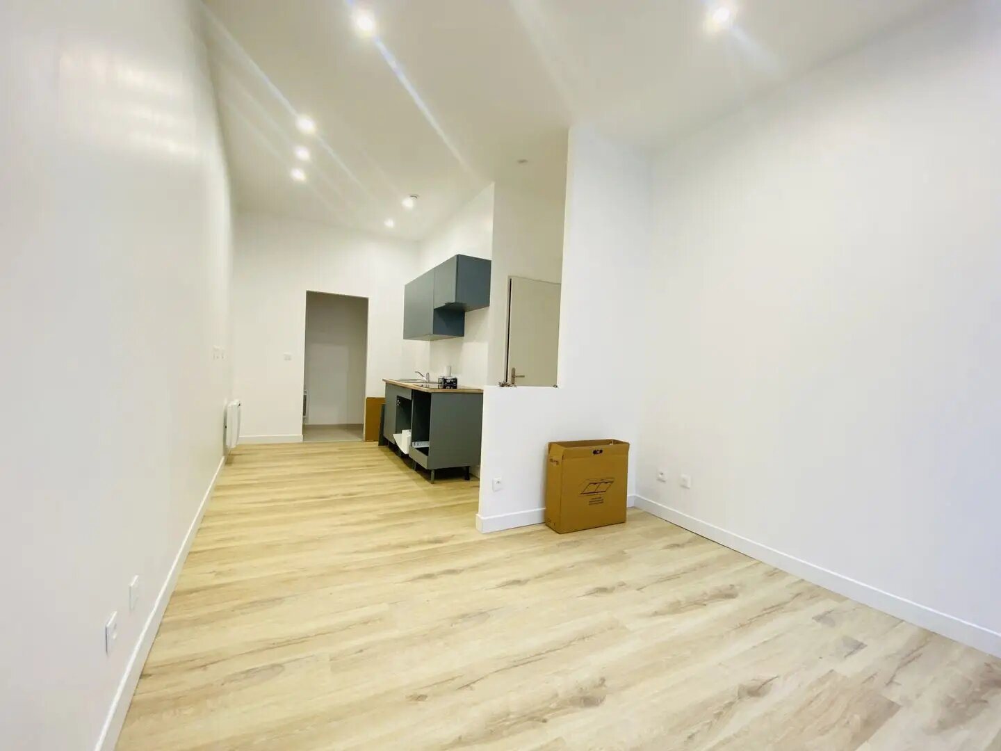 Appartement à vendre, 24m², Saint-Laurent-du-Pont