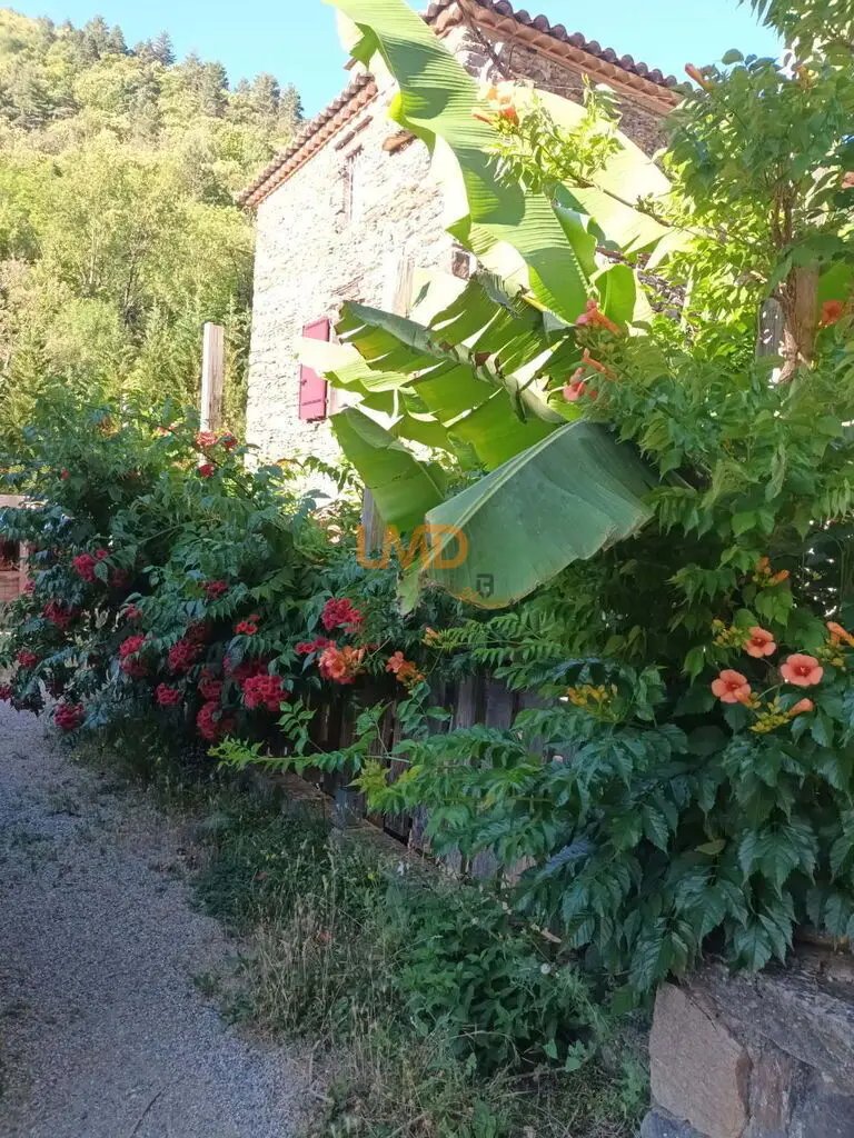 Maison à vendre, 162m², Saint-André-de-Valborgne