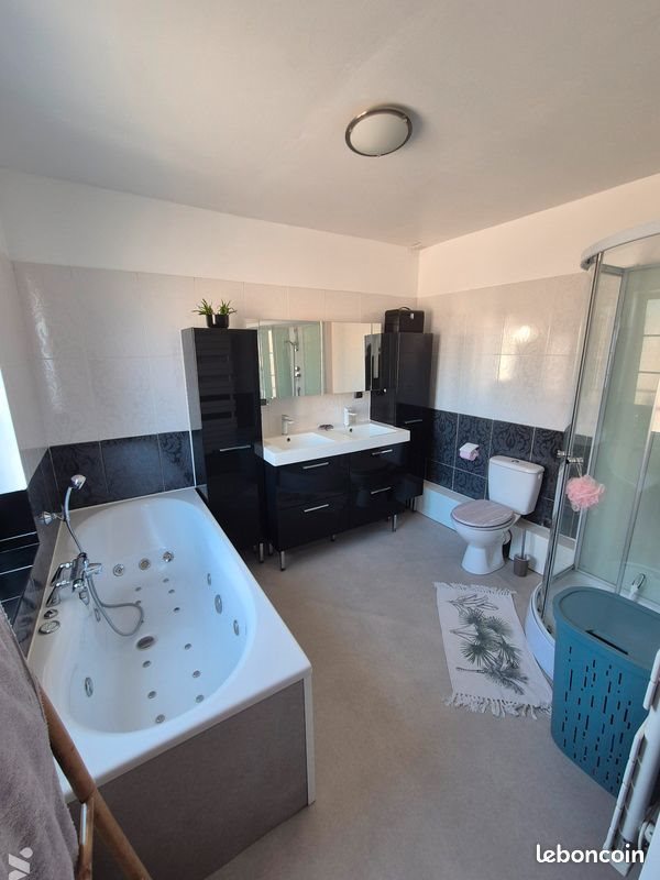 Maison à vendre, 264m², Saint-Maclou-la-Brière