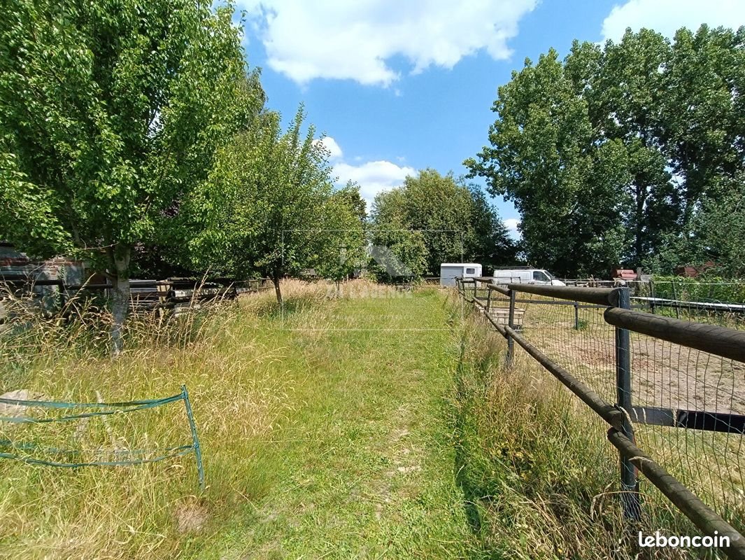 Maison à vendre, 100m², Cappelle-en-Pévèle