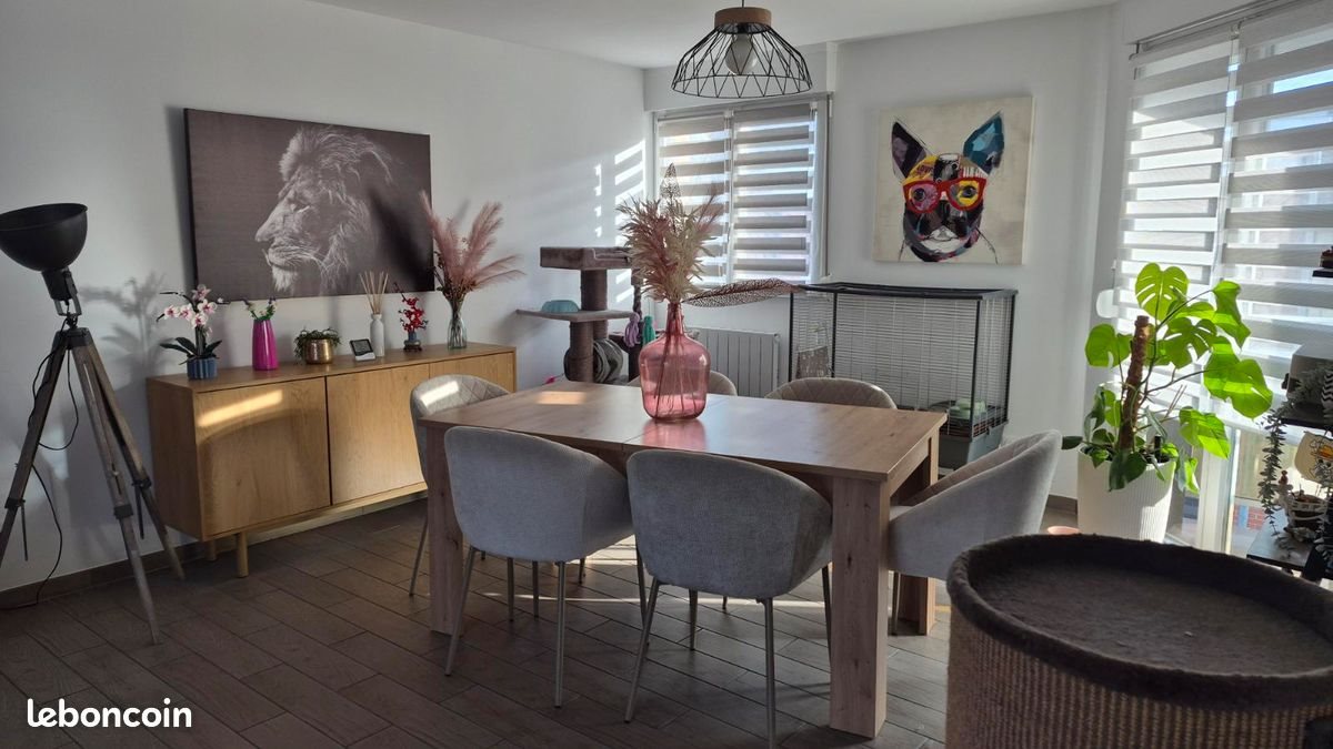 Appartement à louer, 57m², Vieux-Condé