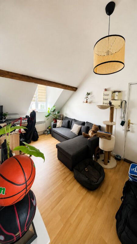 Appartement à vendre, 31m², Chantilly