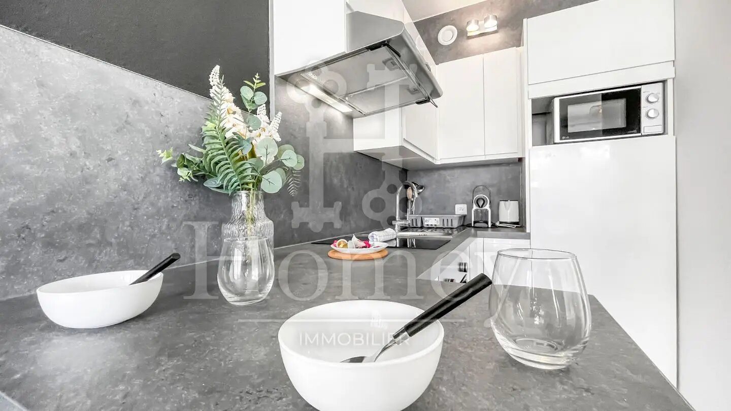Appartement à louer, 24m², Ambilly