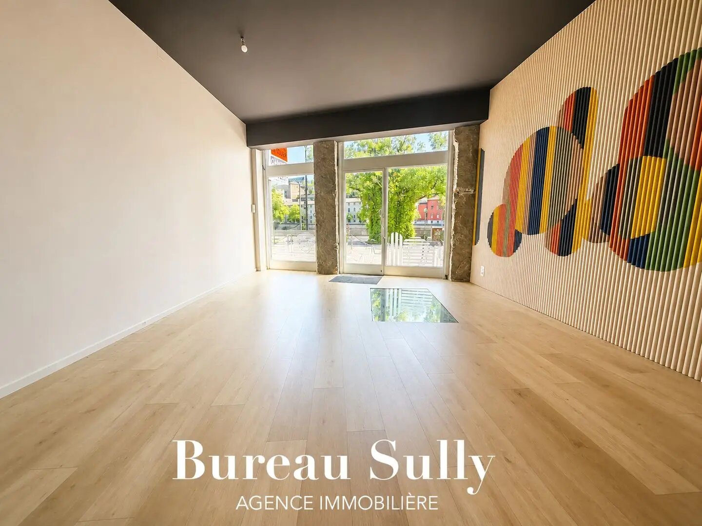 Appartement à vendre, 35m², Lyon 9ème