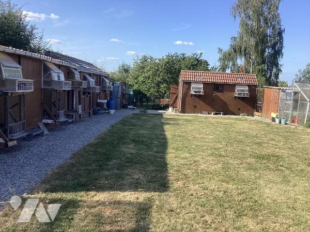 Maison à vendre, 141m², Bousies