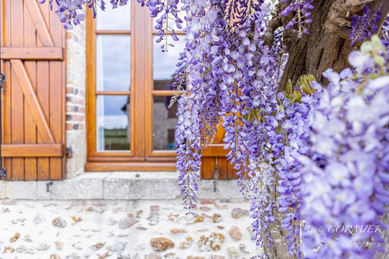 Maison à vendre, 245m², Sully-sur-Loire