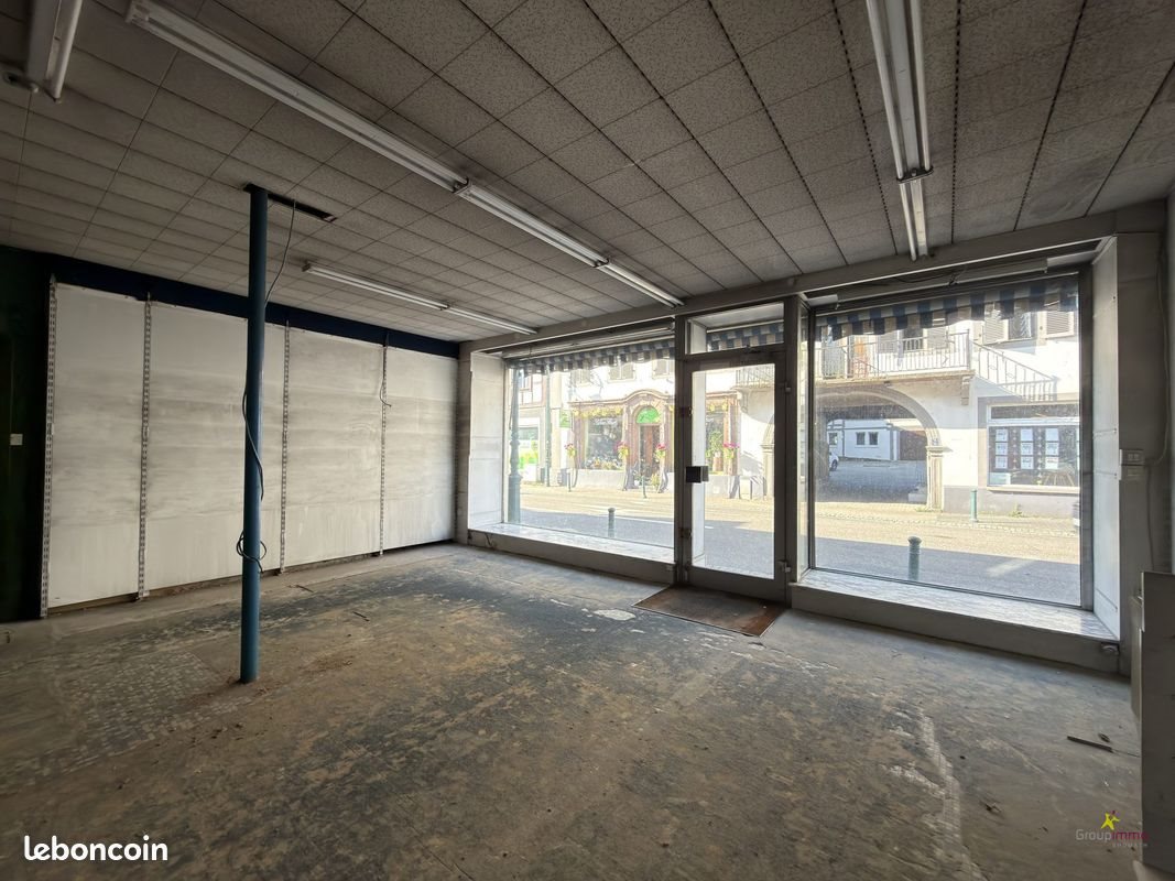 Appartement à vendre, 216m², Brumath