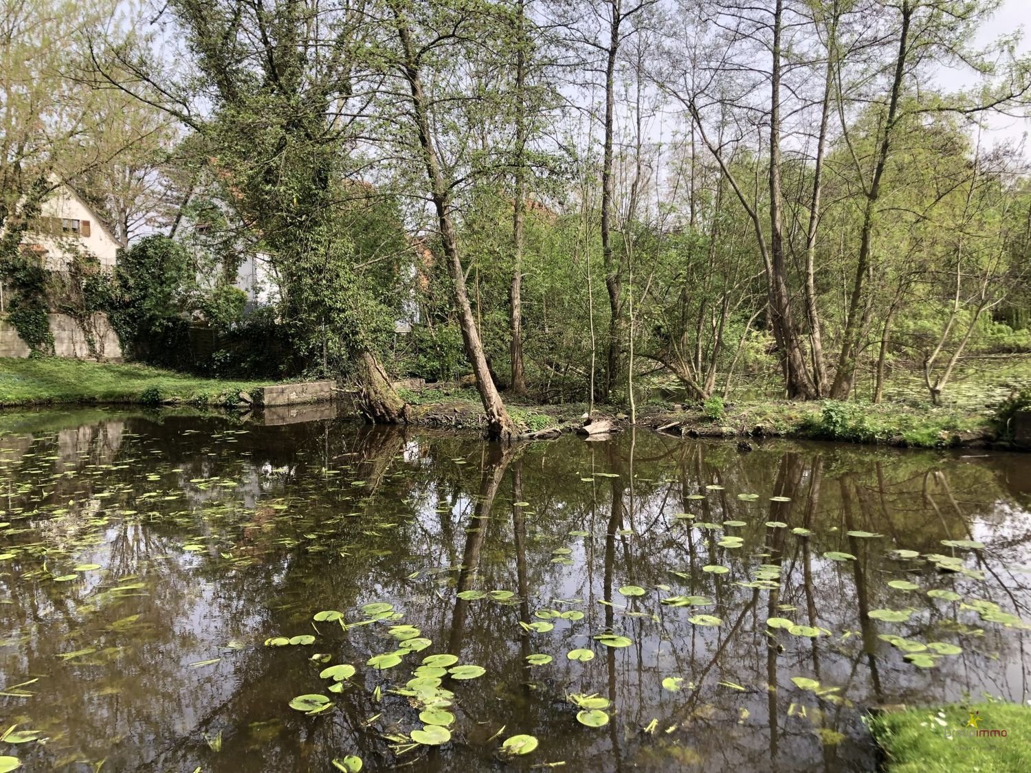 Maison à vendre, 378m², Bischwiller