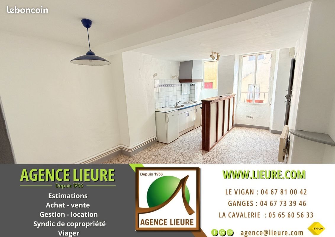 Appartement à vendre, 32m², Le Vigan