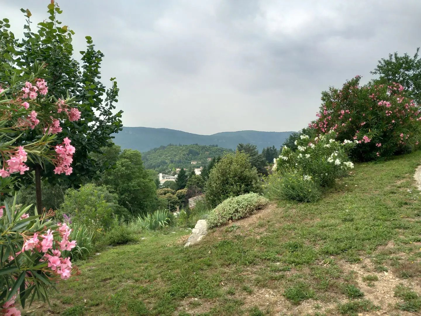 Appartement à louer, 23m², Le Vigan
