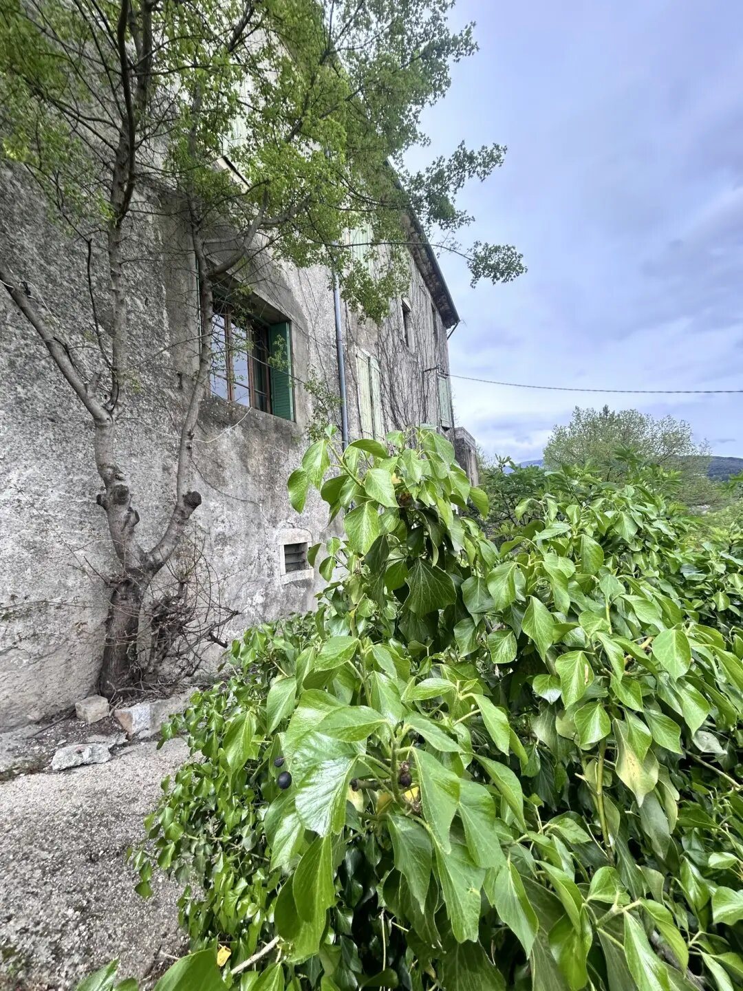 Maison à vendre, 144m², Molières-Cavaillac