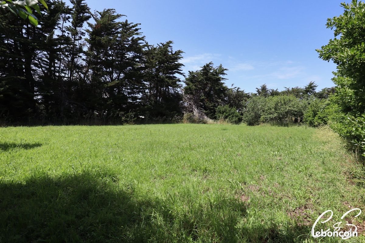 Maison à vendre, 100m², Penmarch