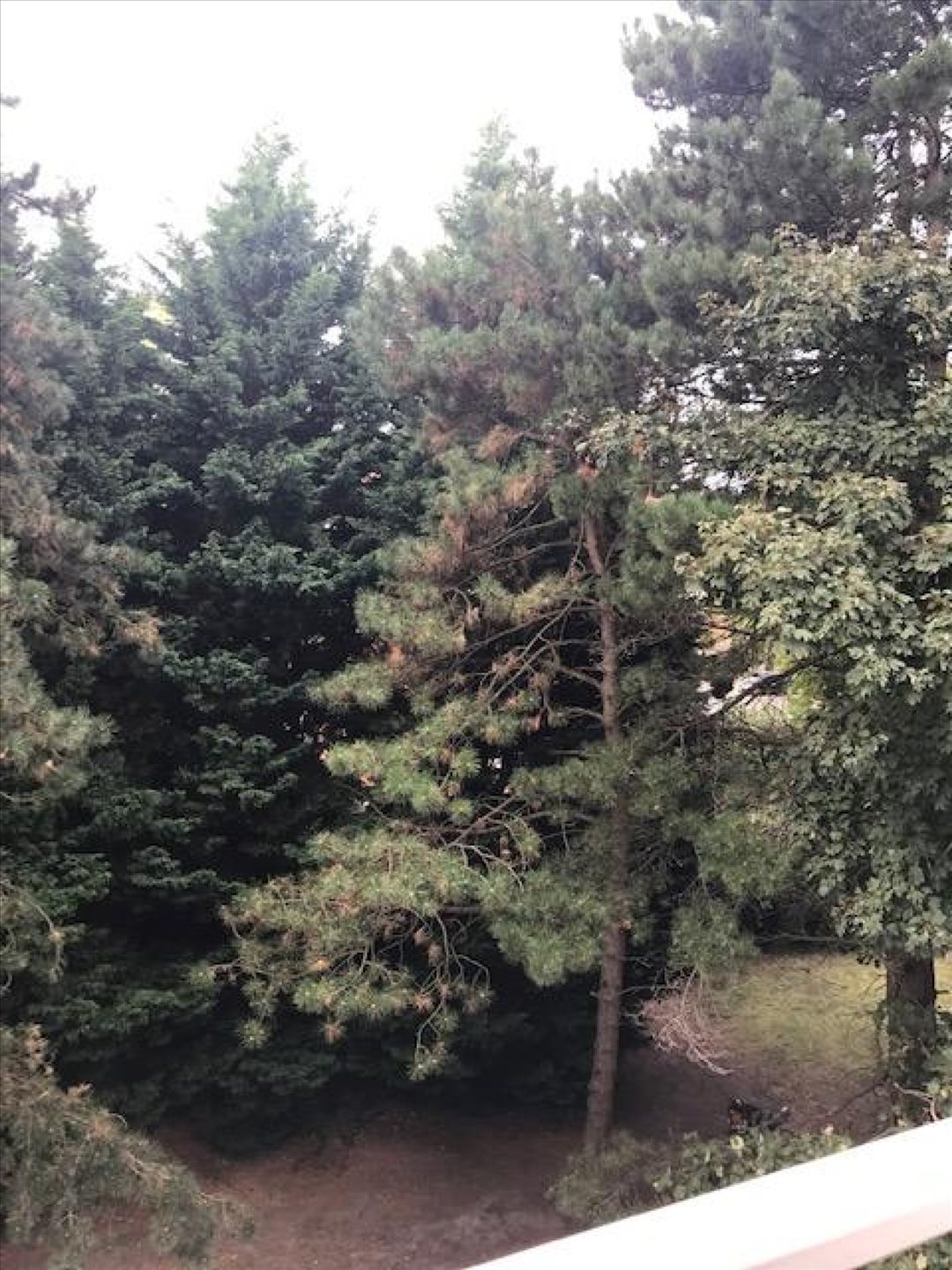 Maison à vendre, 73m², Douai