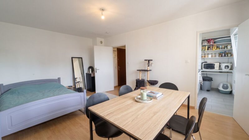 Appartement à vendre, 29m², Schiltigheim