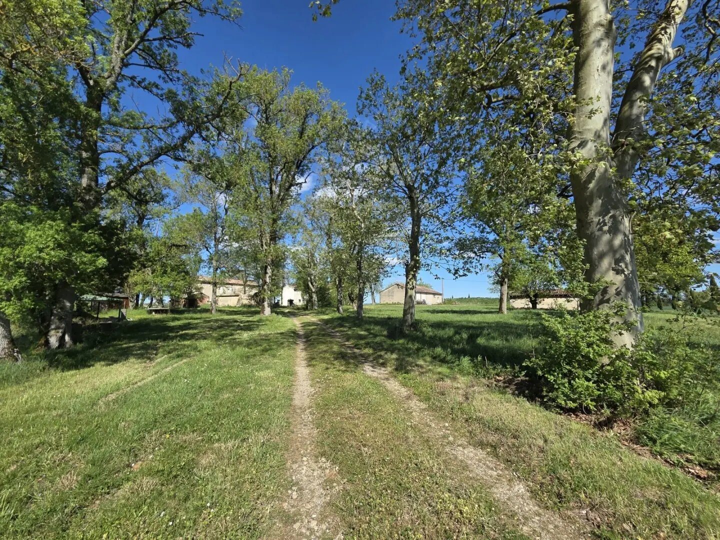 Maison à vendre, 639m², Vielmur-sur-Agout