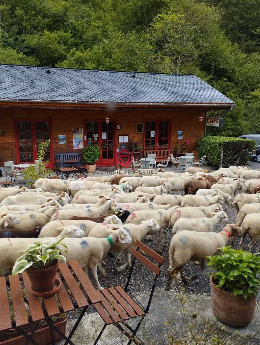 Maison à vendre, 280m², Couflens