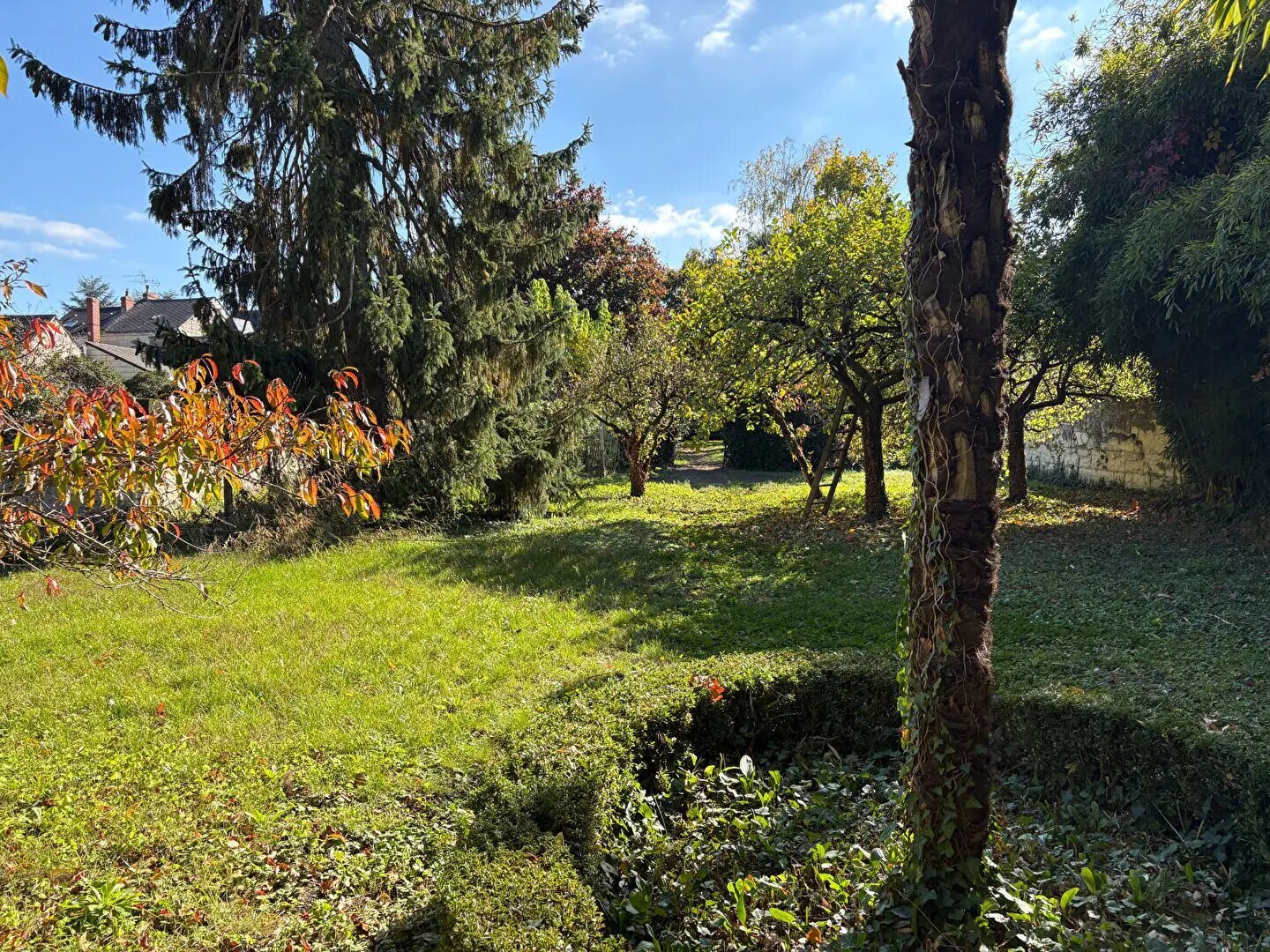 Maison à vendre, 178m², Longué-Jumelles