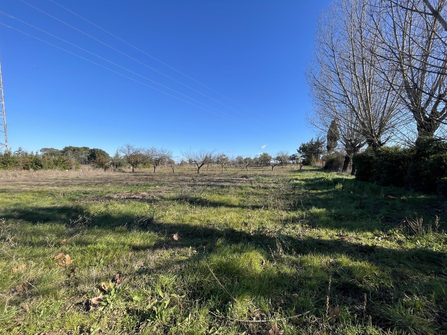 Maison à vendre, 140m², Ribaute-les-Tavernes