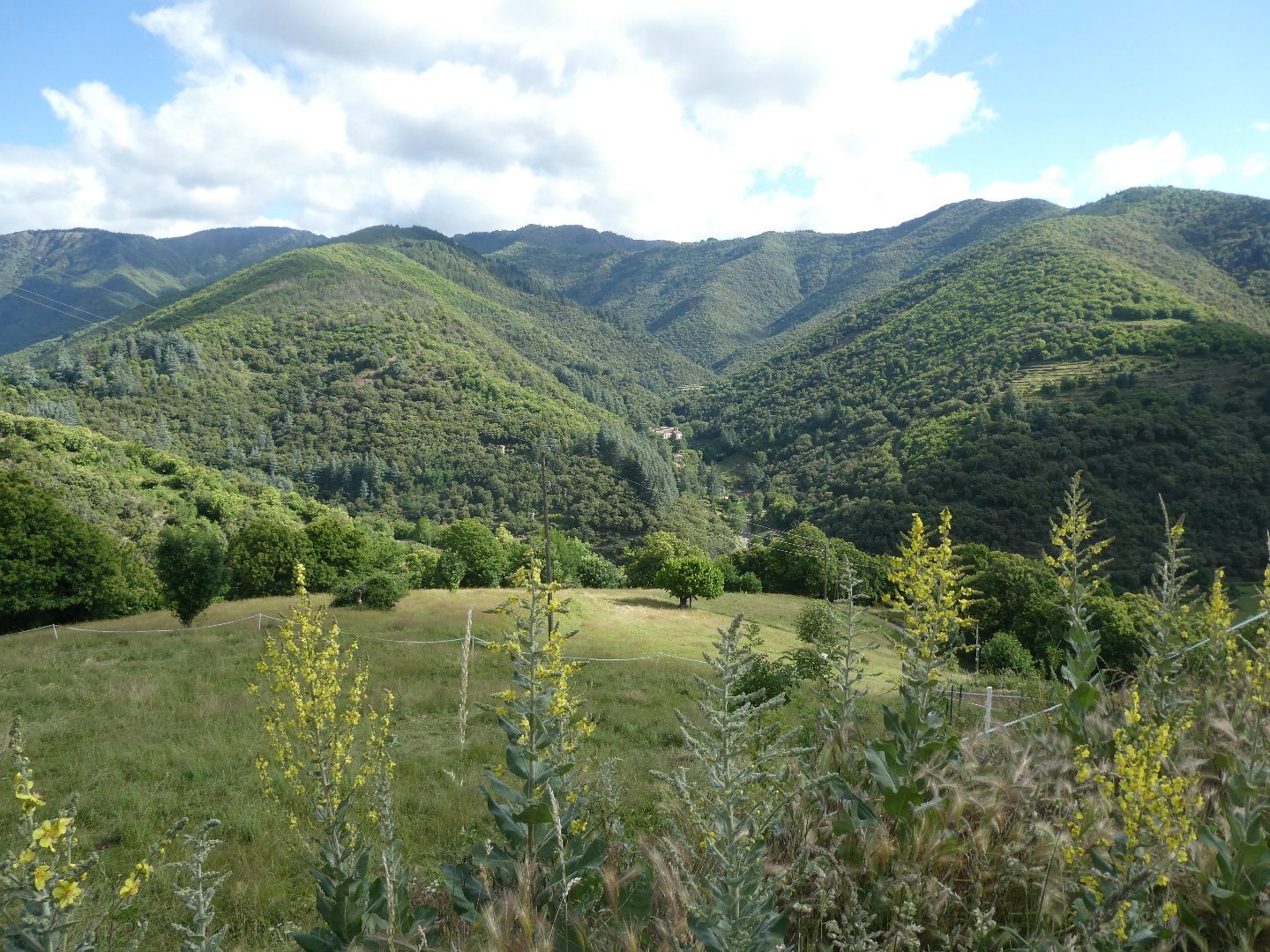 Maison à vendre, 267m², Val-d’Aigoual