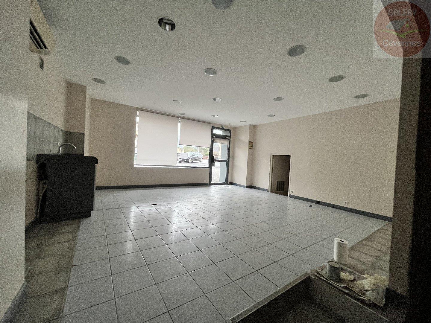 Maison à vendre, 645m², Saint-Hippolyte-du-Fort